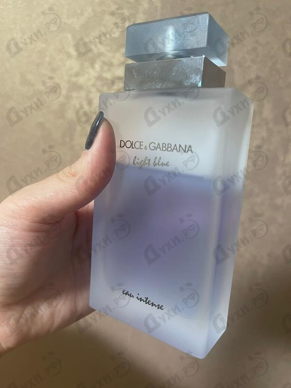 Купить Dolce & Gabbana Light Blue Eau Intense