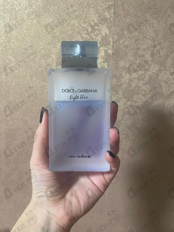 Парфюмерия Dolce & Gabbana Light Blue Eau Intense