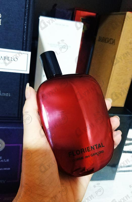 Купить Floriental от Comme Des Garcons