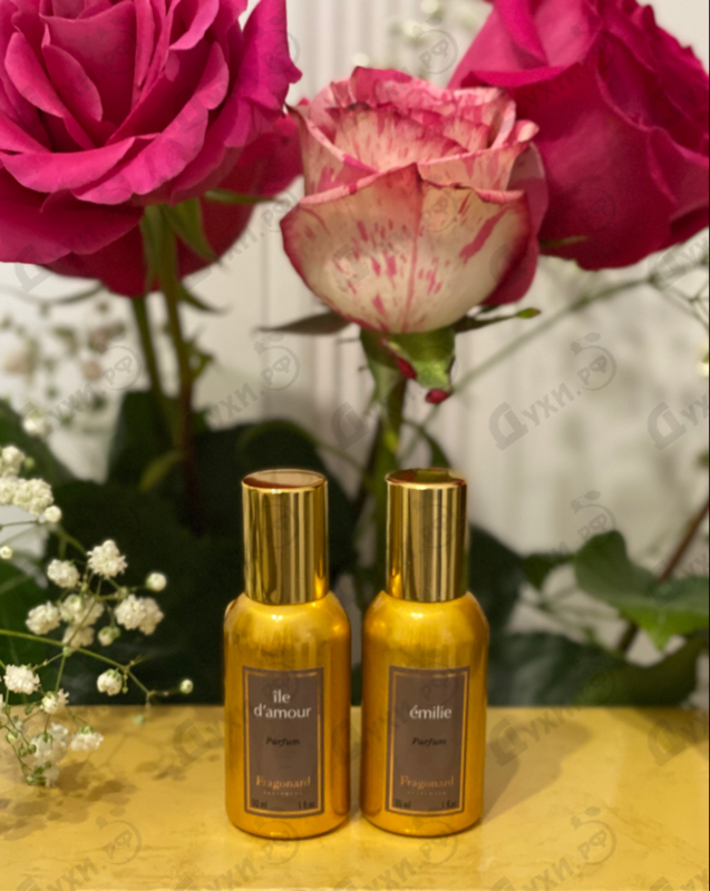 Купить Ile D'amour от Fragonard Отзыв Fragonard Ile D'amour