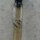 Духи Absinthe от Franck Boclet