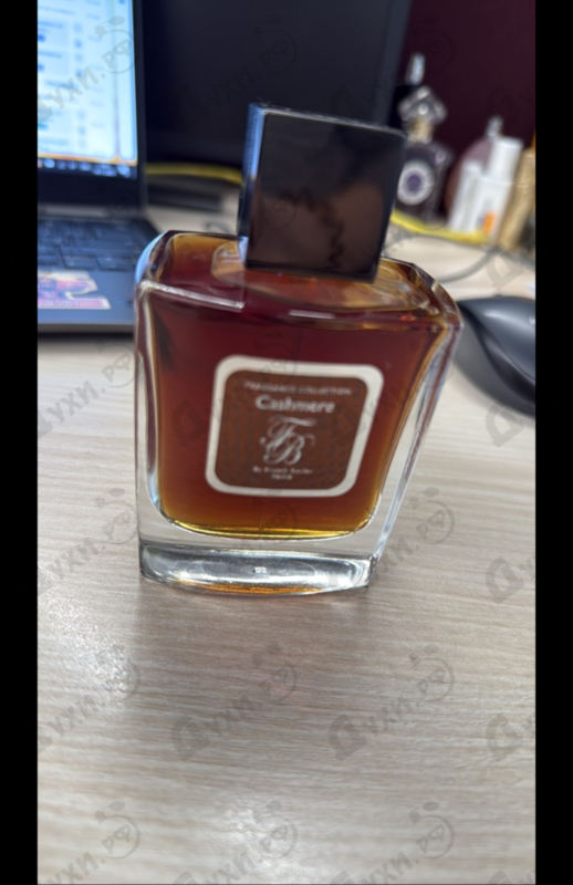 Купить Cashmere от Franck Boclet