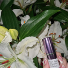 Отзывы Franck Boclet Cocaine