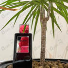 Отзыв Franck Boclet Cocaine