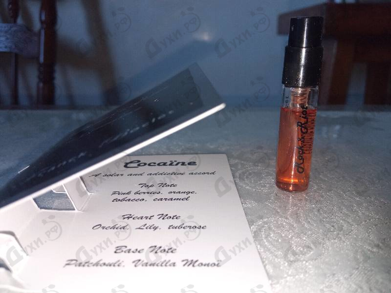 Купить Cocaine от Franck Boclet