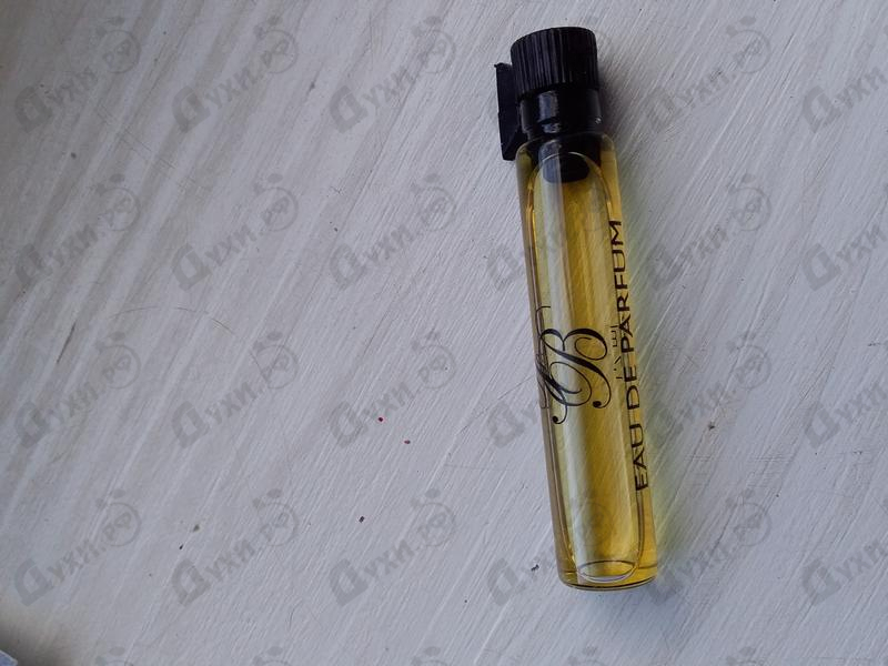 Духи Fir Balsam от Franck Boclet Парфюмерия Franck Boclet Fir Balsam