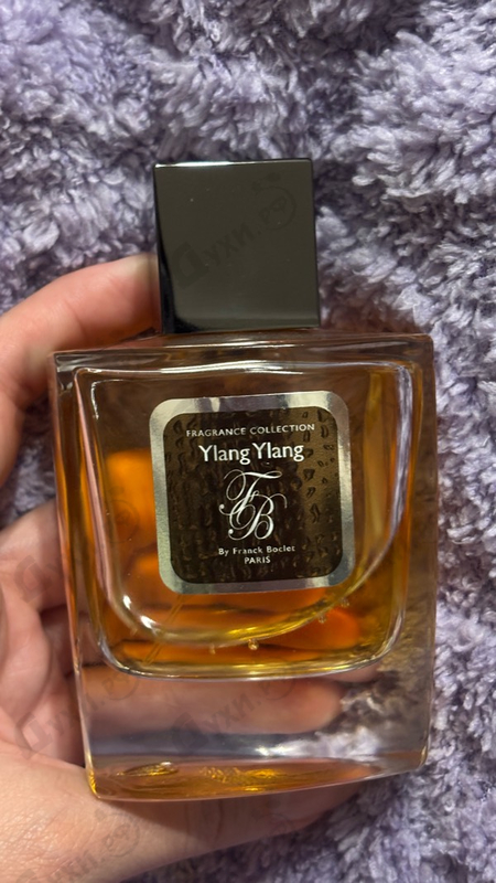 Купить Ylang Ylang от Franck Boclet