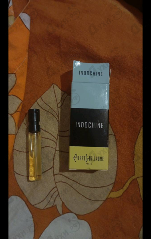 Купить Indochine от Pierre Guillaume