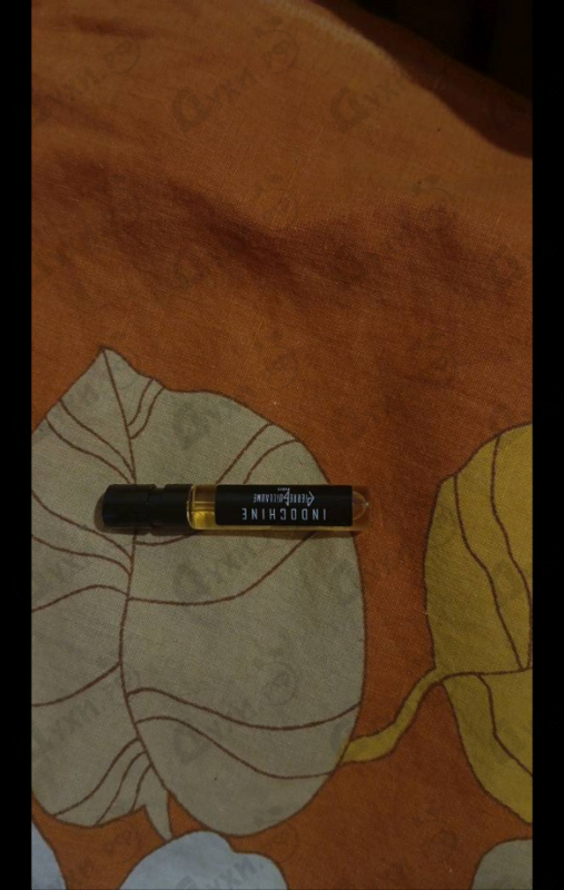 Купить Pierre Guillaume Indochine