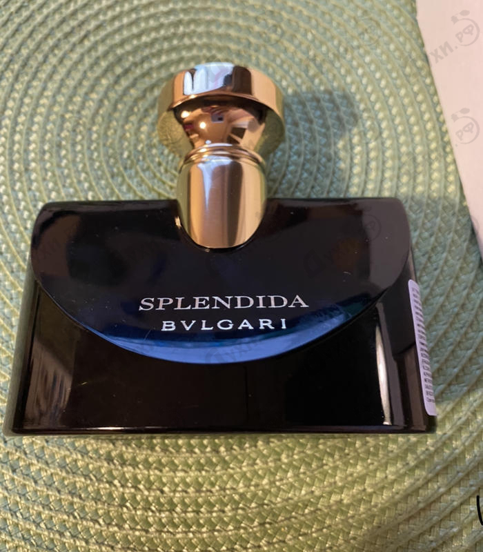 Отзыв Bvlgari Splendida Jasmin Noir