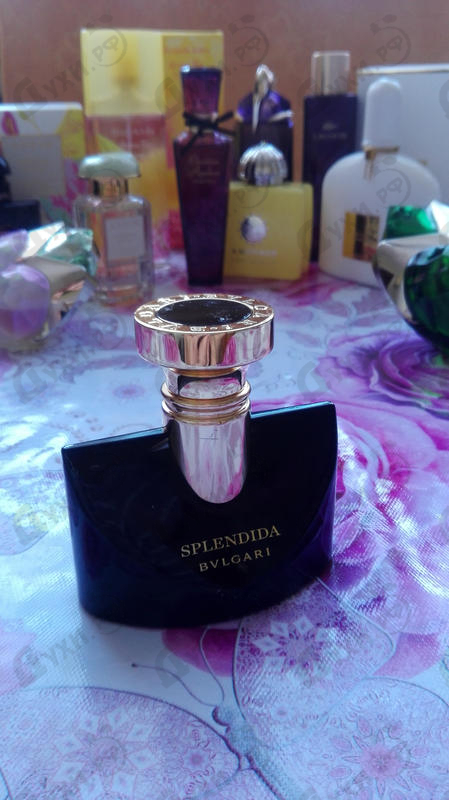 Парфюмерия Splendida Jasmin Noir от Bvlgari