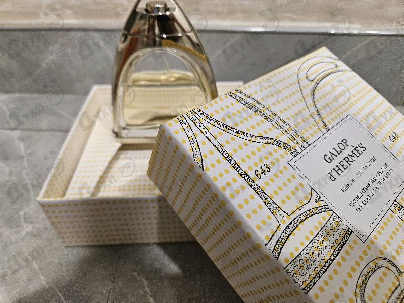 Отзыв Hermes Galop D'hermes