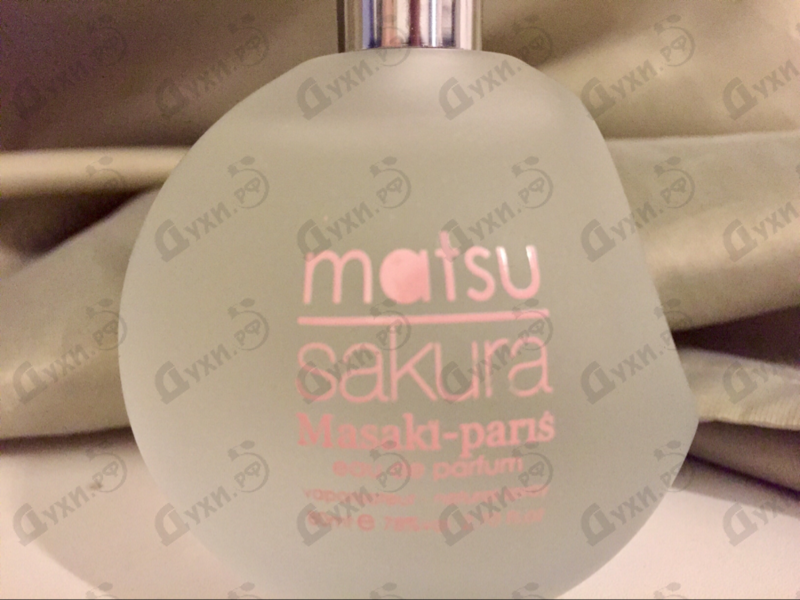 Купить Masaki Matsushima Matsu Sakura