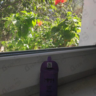 Духи Malia от Nobile 1942