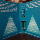Отзывы Sud Pacifique Rhum & Tabac
