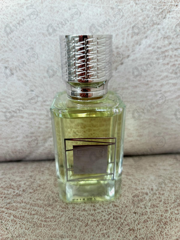 Отзыв Ex Nihilo Citizen X