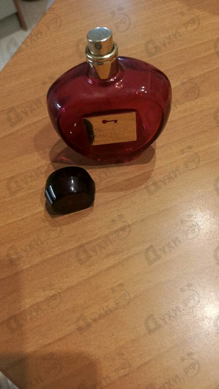 Купить Her Secret Temptation от Antonio Banderas