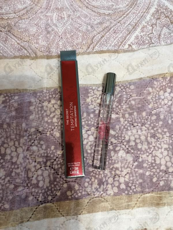 Купить Antonio Banderas The Secret Temptation Купить The Secret Temptation от Antonio Banderas