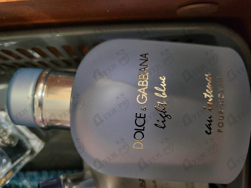 Купить Light Blue Eau Intense от Dolce & Gabbana