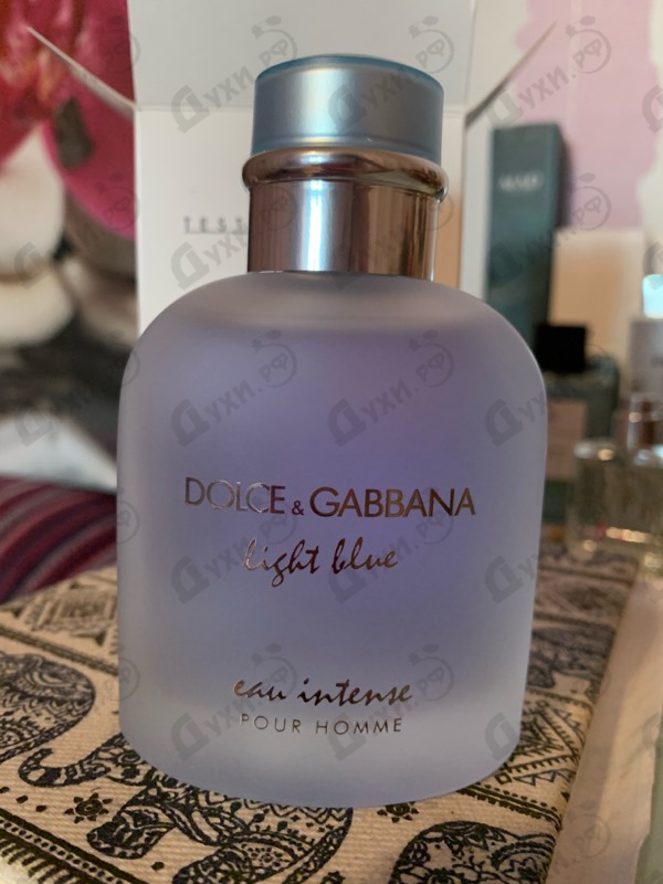 Купить Light Blue Eau Intense от Dolce & Gabbana