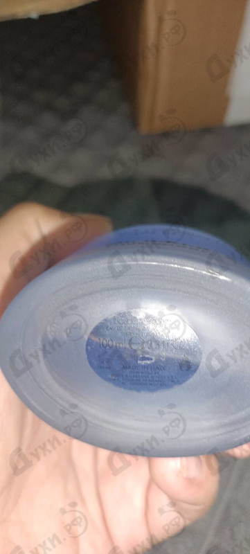 Купить Dolce & Gabbana Light Blue Eau Intense