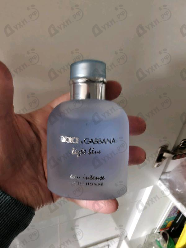 Духи Light Blue Eau Intense от Dolce & Gabbana