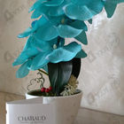Отзыв Chabaud Maison de Parfum Lait Concentre