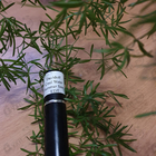 Отзывы Davidoff Cool Water Summer Seas