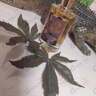 Отзывы The Woods Collection Dark Forest