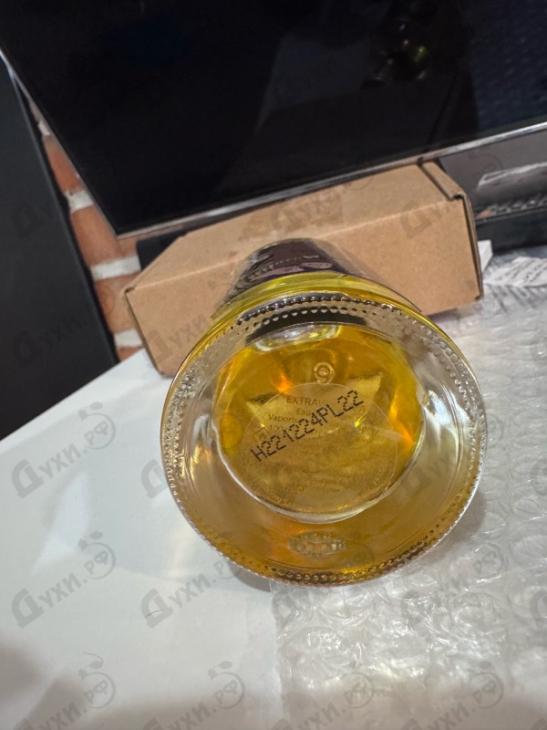 Купить The Woods Collection Dark Forest