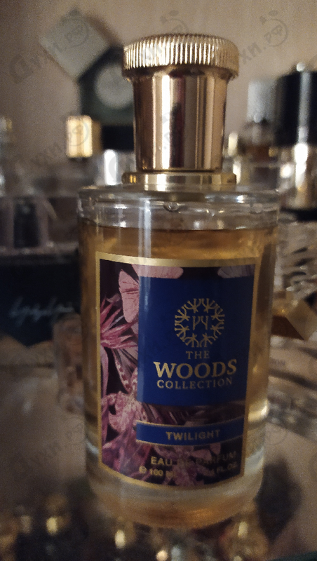 Купить Twilight от The Woods Collection