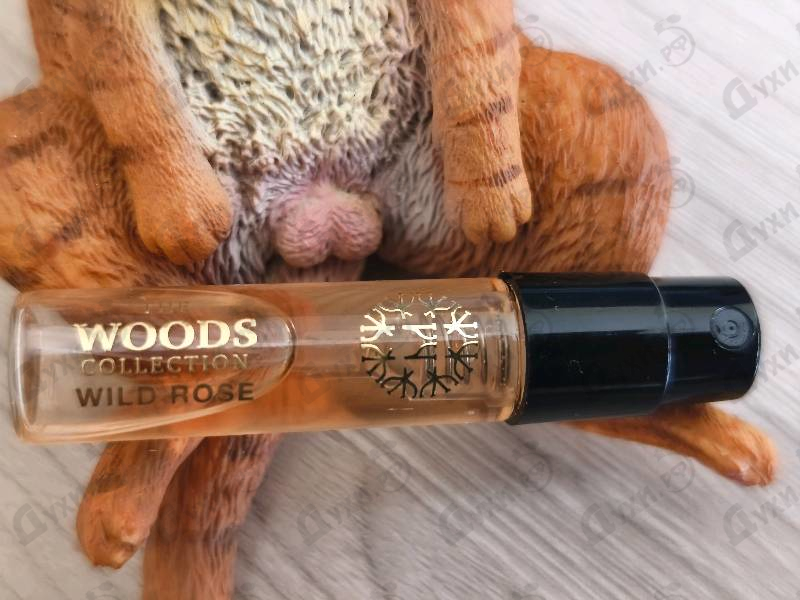 Духи Wild Roses от The Woods Collection