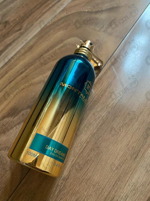 Отзывы Montale Day Dreams