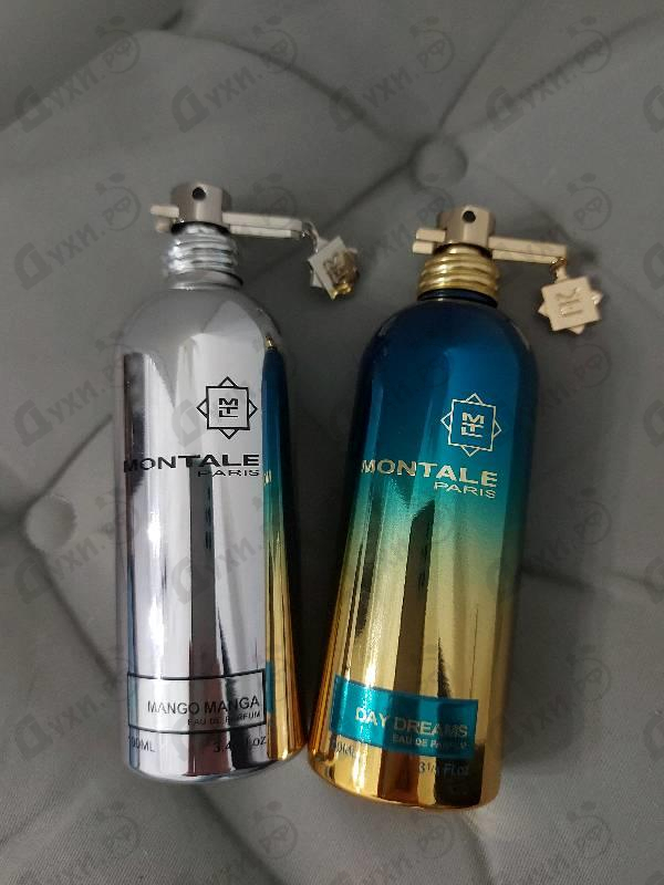 Парфюм Montale Day Dreams Духи Day Dreams от Montale