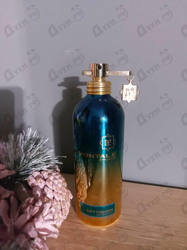 Парфюмерия Day Dreams от Montale