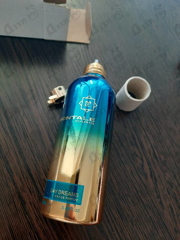Купить Day Dreams от Montale