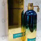 Отзыв Montale Day Dreams