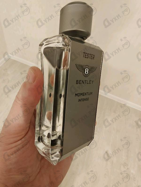 Отзывы Bentley Momentum Intense