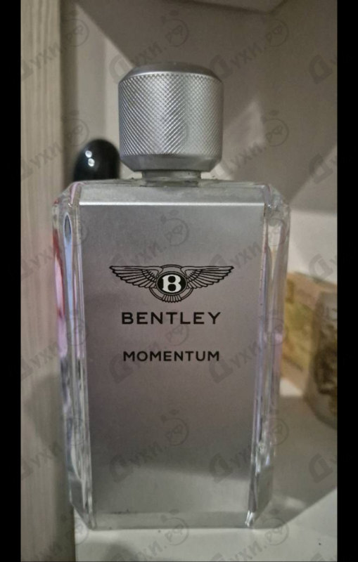 Купить Momentum от Bentley