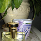 Парфюм Bvlgari Splendida Iris D'or