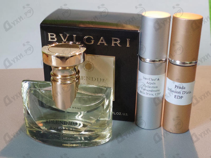 Духи Splendida Iris D'or от Bvlgari