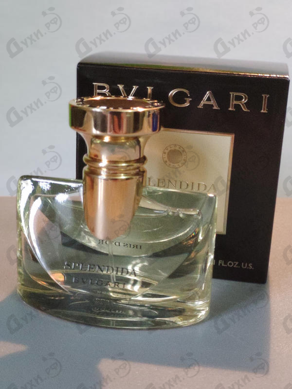 Купить Splendida Iris D'or от Bvlgari