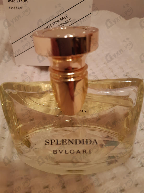 Купить Bvlgari Splendida Iris D'or