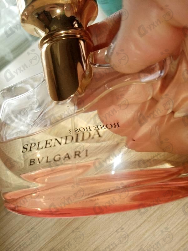 Духи Splendida Rose Rose от Bvlgari