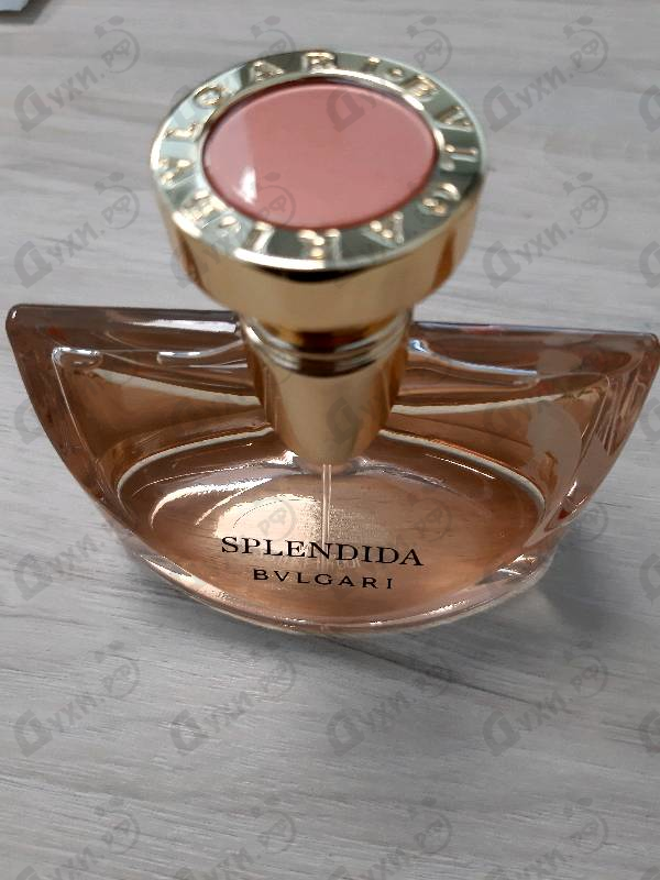 Отзыв Bvlgari Splendida Rose Rose