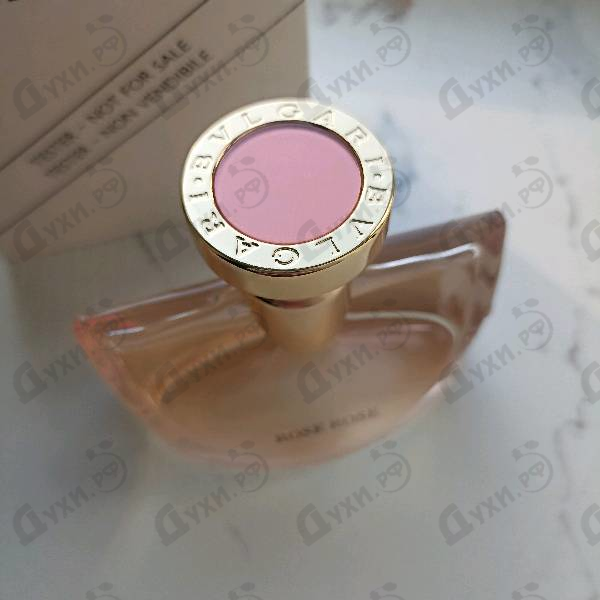 Купить Splendida Rose Rose от Bvlgari