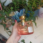 Отзыв Bvlgari Splendida Rose Rose