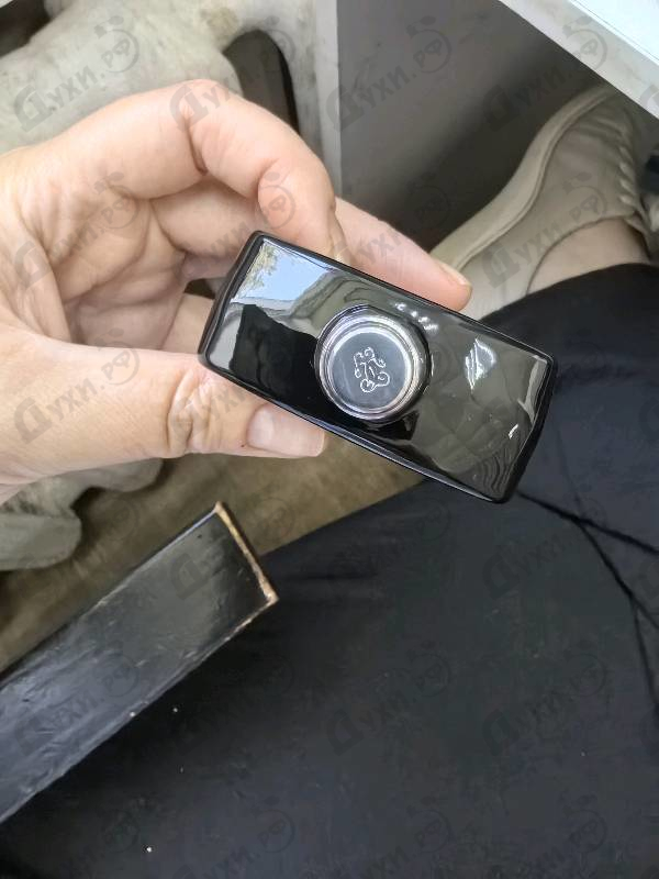 Парфюмерия Guerlain La Petite Robe Noire Black Perfecto