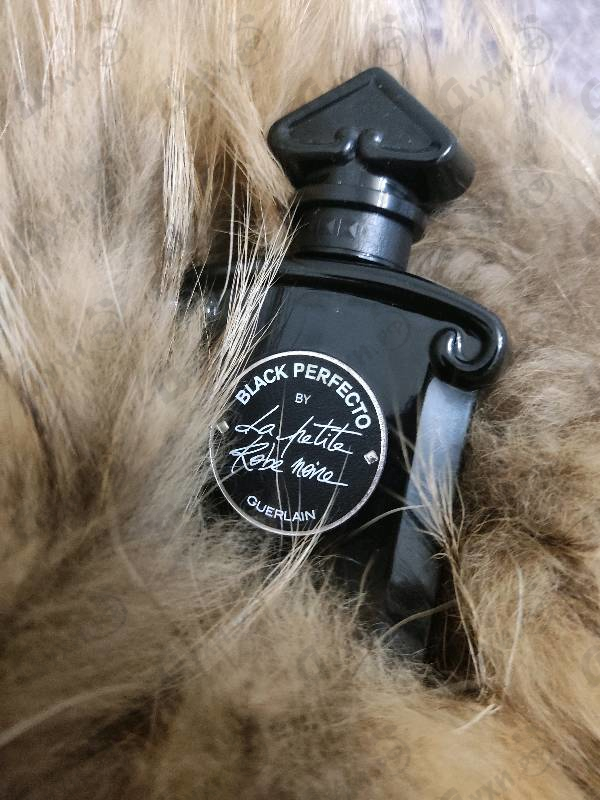 Парфюмерия La Petite Robe Noire Black Perfecto от Guerlain