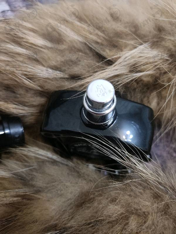 Купить La Petite Robe Noire Black Perfecto от Guerlain